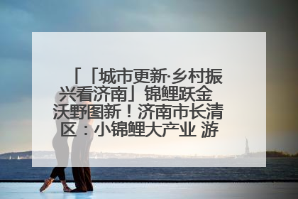 「城市更新·乡村振兴看济南」锦鲤跃金 沃野图新！济南市长清区：小锦鲤大产业 游出农旅新风景