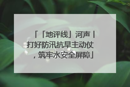 「地评线」河声丨打好防汛抗旱主动仗，筑牢水安全屏障