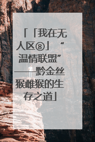 「我在无人区⑧」“温情联盟”——黔金丝猴雌猴的生存之道