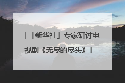 「新华社」专家研讨电视剧《无尽的尽头》