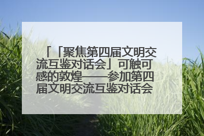 「聚焦第四届文明交流互鉴对话会」可触可感的敦煌——参加第四届文明交流互鉴对话会的外宾参观上元市集
