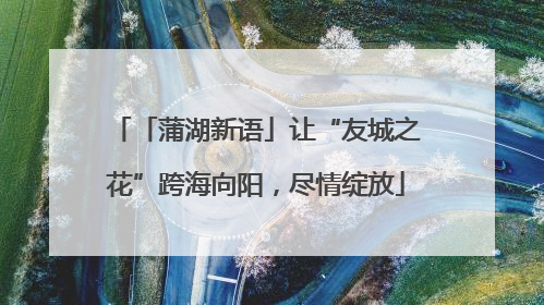 「蒲湖新语」让“友城之花”跨海向阳，尽情绽放