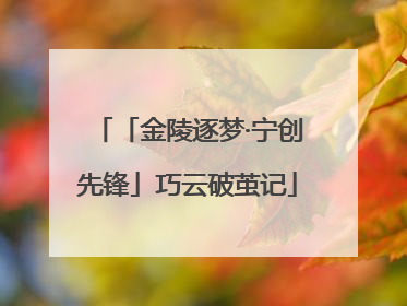 「金陵逐梦·宁创先锋」巧云破茧记