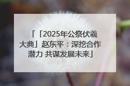 「2025年公祭伏羲大典」赵东平：深挖合作潜力 共谋发展未来