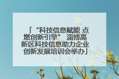 “科技信息赋能 点燃创新引擎” 淄博高新区科技信息助力企业创新发展培训会举办