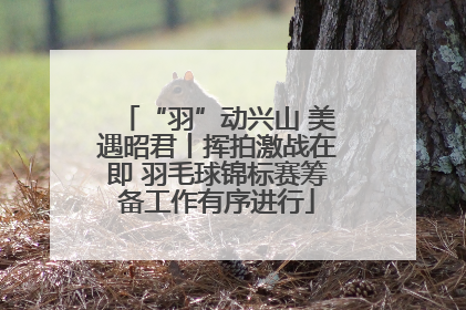 “羽”动兴山 美遇昭君丨挥拍激战在即 羽毛球锦标赛筹备工作有序进行