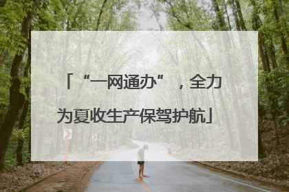 “一网通办”，全力为夏收生产保驾护航
