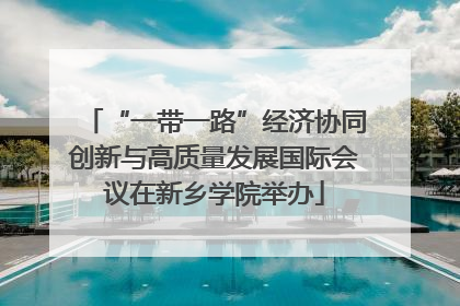 “一带一路”经济协同创新与高质量发展国际会议在新乡学院举办