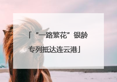 “一路繁花”银龄专列抵达连云港