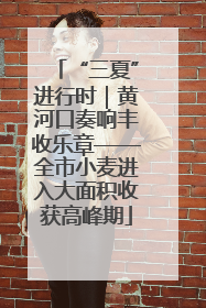 “三夏”进行时｜黄河口奏响丰收乐章——全市小麦进入大面积收获高峰期