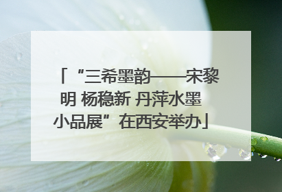 “三希墨韵——宋黎明 杨稳新 丹萍水墨小品展”在西安举办