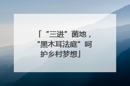 “三进”菌地，“黑木耳法庭”呵护乡村梦想