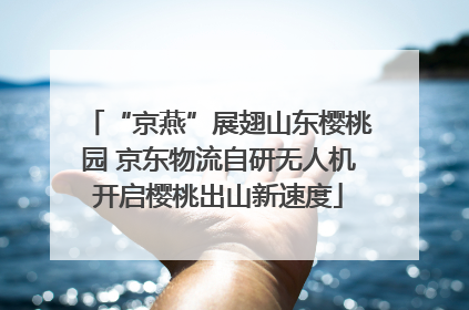 “京燕”展翅山东樱桃园 京东物流自研无人机开启樱桃出山新速度