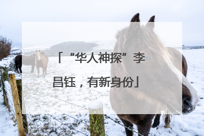 “华人神探”李昌钰，有新身份