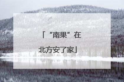 “南果”在北方安了家
