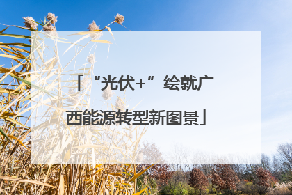 “光伏+”绘就广西能源转型新图景