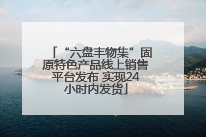 “六盘丰物集”固原特色产品线上销售平台发布 实现24小时内发货