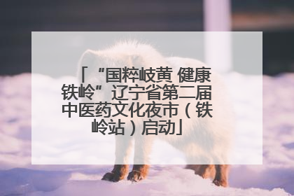 “国粹岐黄 健康铁岭”辽宁省第二届中医药文化夜市（铁岭站）启动