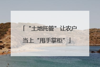 “土地托管”让农户当上“甩手掌柜”