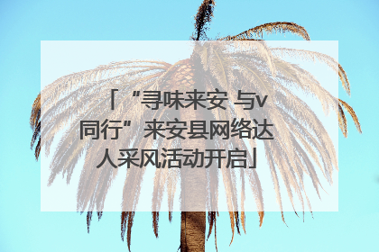 “寻味来安 与v同行”来安县网络达人采风活动开启