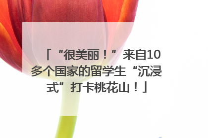 “很美丽！”来自10多个国家的留学生“沉浸式”打卡桃花山！
