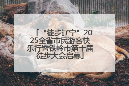 “徒步辽宁”2025全省市民游客快乐行暨铁岭市第十届徒步大会启幕