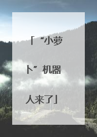 “小萝卜”机器人来了