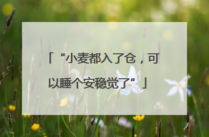 “小麦都入了仓，可以睡个安稳觉了”