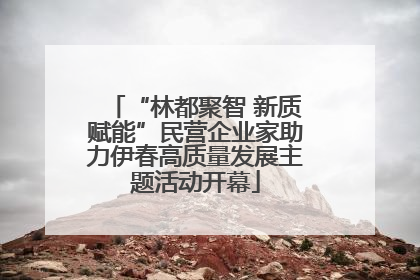 “林都聚智 新质赋能”民营企业家助力伊春高质量发展主题活动开幕