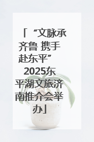 “文脉承齐鲁 携手赴东平” 2025东平湖文旅济南推介会举办