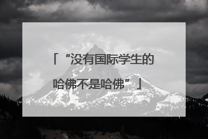 “没有国际学生的哈佛不是哈佛”