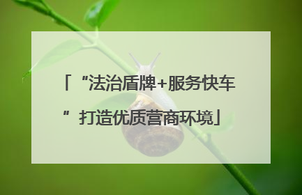 “法治盾牌+服务快车”打造优质营商环境
