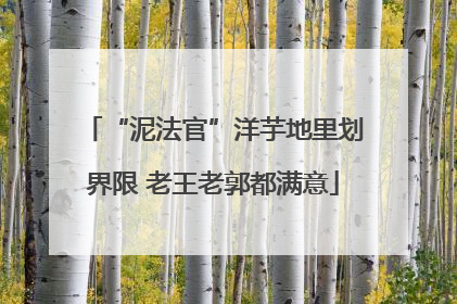 “泥法官”洋芋地里划界限 老王老郭都满意