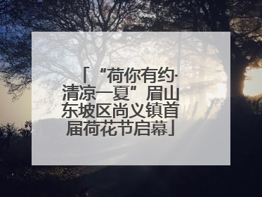“荷你有约·清凉一夏”眉山东坡区尚义镇首届荷花节启幕