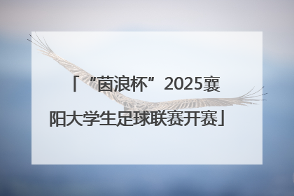 “茵浪杯”2025襄阳大学生足球联赛开赛