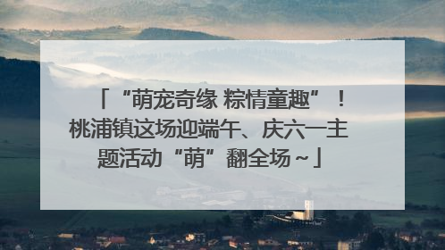 “萌宠奇缘 粽情童趣”！桃浦镇这场迎端午、庆六一主题活动“萌”翻全场～