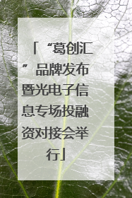 “葛创汇”品牌发布暨光电子信息专场投融资对接会举行