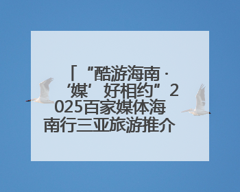 “酷游海南 ·‘媒’好相约”2025百家媒体海南行三亚旅游推介活动启动