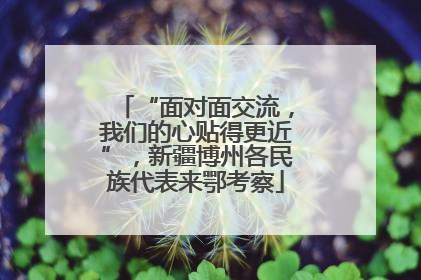 “面对面交流，我们的心贴得更近”，新疆博州各民族代表来鄂考察