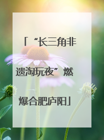“长三角非遗淘玩夜”燃爆合肥庐阳