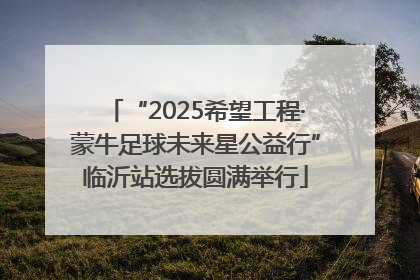 “2025希望工程·蒙牛足球未来星公益行”临沂站选拔圆满举行