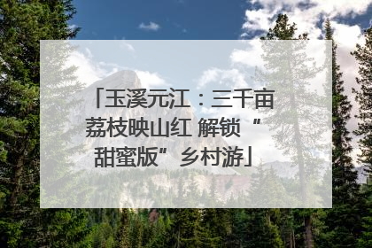 玉溪元江：三千亩荔枝映山红 解锁“甜蜜版”乡村游