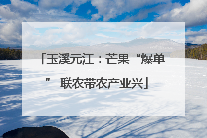 玉溪元江：芒果“爆单” 联农带农产业兴