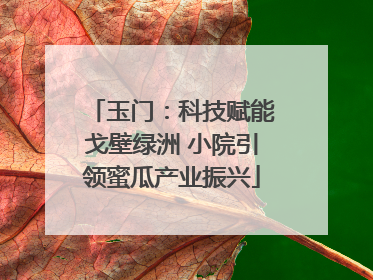 玉门：科技赋能戈壁绿洲 小院引领蜜瓜产业振兴