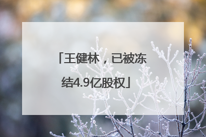 王健林，已被冻结4.9亿股权