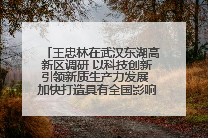 王忠林在武汉东湖高新区调研 以科技创新引领新质生产力发展 加快打造具有全国影响力的科技创新高地