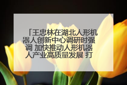 王忠林在湖北人形机器人创新中心调研时强调 加快推动人形机器人产业高质量发展 打造具有全国影响力的研发创新基地