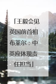 王毅会见英国前首相布莱尔：中英应体现责任担当