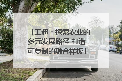 王超：探索农业的多元发展路径 打造可复制的融合样板