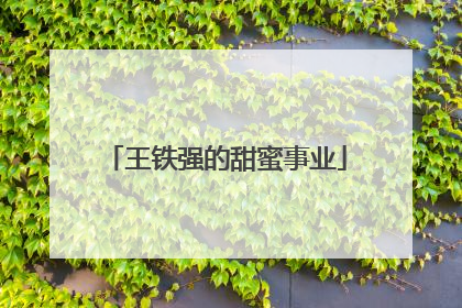 王铁强的甜蜜事业